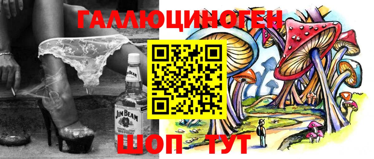 Галлюциногенные грибы Psilocybine cubensis Южно-Сахалинск