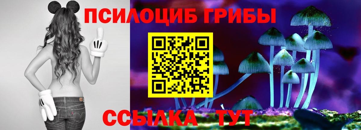 Галлюциногенные грибы GOLDEN TEACHER  Вход с VPN  Южно-Сахалинск  Галлюциногенные грибы Psilocybe 