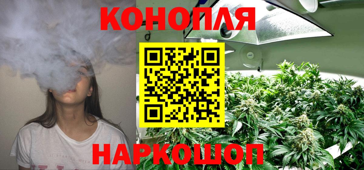 Бошки марихуана OG Kush Южно-Сахалинск
